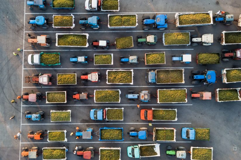 Le coop del vino ai “raggi x”: l’analisi di Luca Castagnetti “Management DiVino di Studio Impresa”