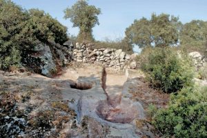 Alla scoperta della viticoltura in Sardegna nell’età del Bronzo Alla scoperta della viticoltura in Sardegna nell’età del Bronzo