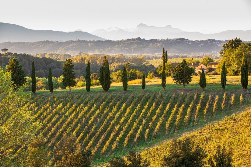 Fattoria Varramista, “bon refuge” tra i vigneti di Toscana