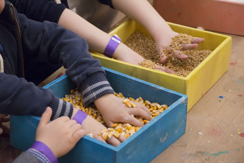 La cultura del cibo per i bambini, a Fico, che toccano con mano i semi ed i cereali