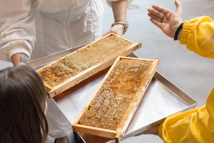 Agricoltura e ambiente protagonisti a Fico, a partire dalle api e del miele