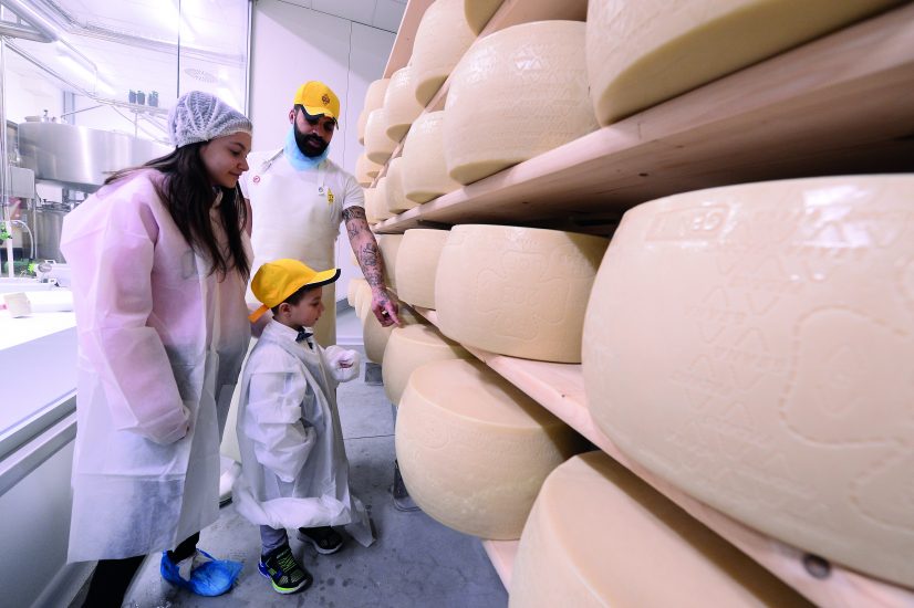 La produzione di Parmigiano Reggiano di Fico Eataly World, che è anche didattica