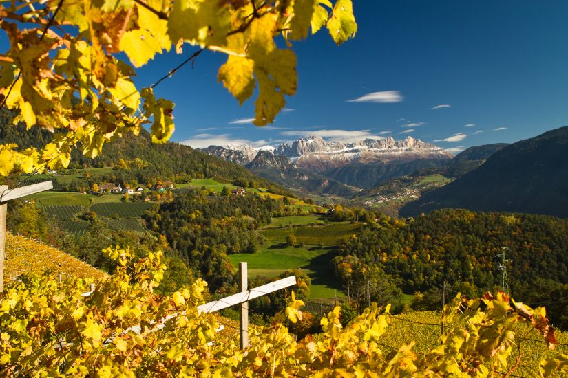 I vigneti di Kettmeir