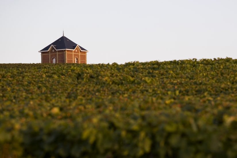 I vigneti di di Moet & Chandon