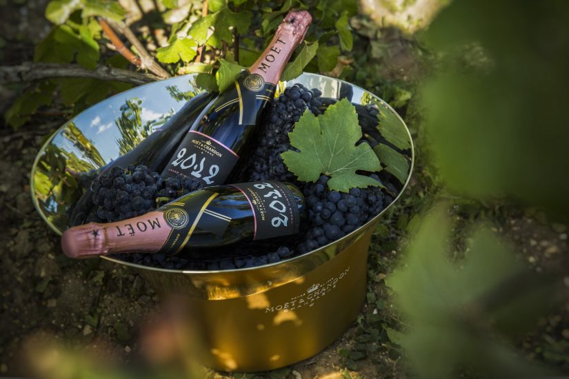 Lo Champagne Grand Vintage Rosé 2012 di Moët & Chandon