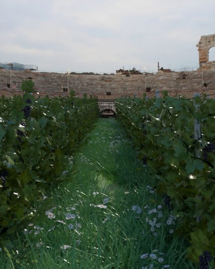 L’opera di Timo Helgert per Pasqua Vini