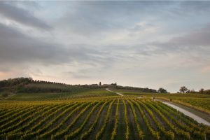 Al mare, in campagna, tra i filari, in cantina: la ristorazione ha un disperato bisogno di spazio