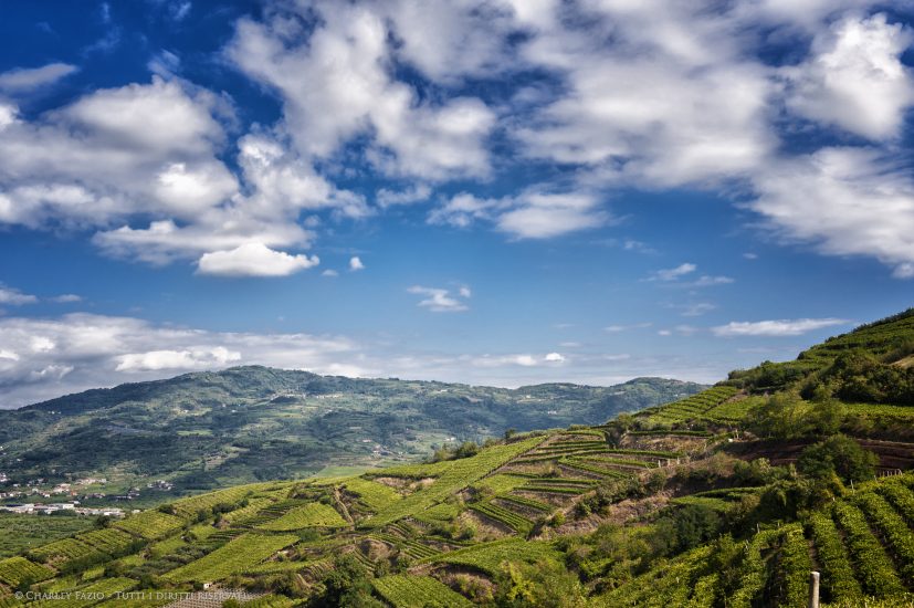 Il Soave riparte dai suoi Cru