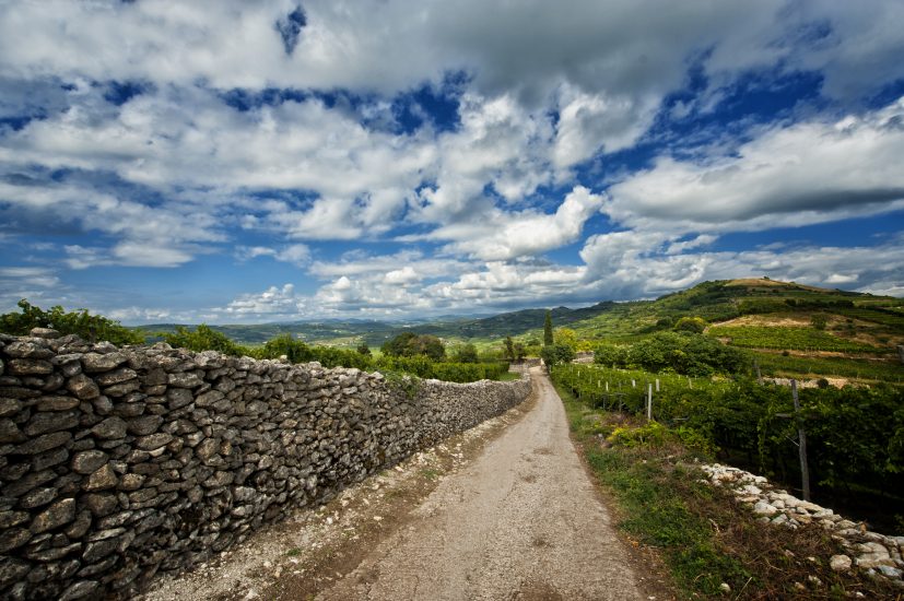 Il Soave riparte dai suoi Cru