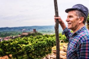 Il Soave mappa il suo patrimonio boschivo, che vive in simbiosi con la vite