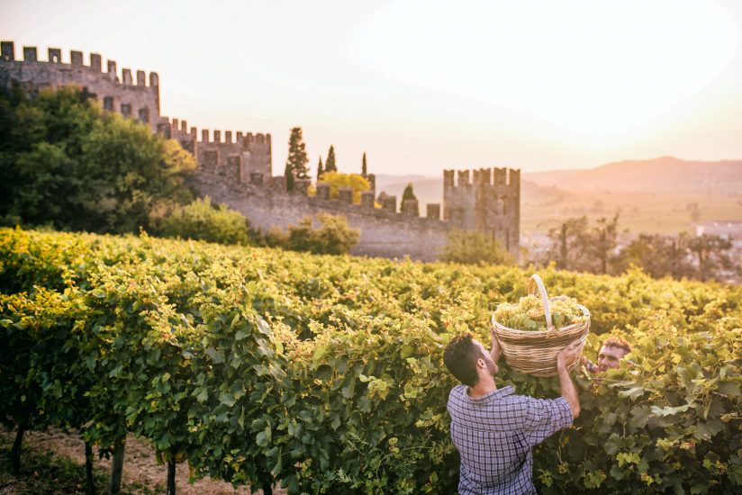 Tra vino e bellezza, Soave è il “Borgo dei Borghi 2022”
