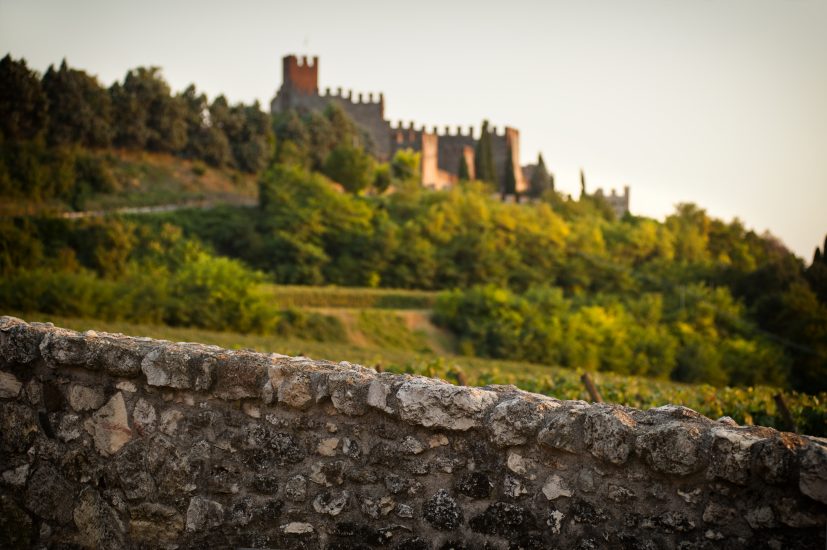 Soave, i vigneti ed il Castello Scaligero (credit: Consorzio del Soave)
