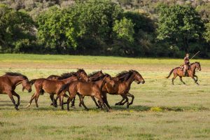 Toscana, terra di tradizione agricola ma anche regina europea dell&rsquo;agribusiness e dell&rsquo;innovazione