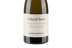 Umani Ronchi, Doc Verdicchio dei Castelli di Jesi Classico Superiore Casal di Serra 2019
