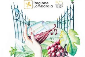 Vigneti Aperti, il Movimento Turismo del Vino ripensa l’enoturismo in Lombardia