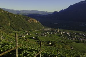 Cooperative, Terlano e Cavit al top nel mondo, secondo il contest 2026 di &ldquo;Weinwirtschaft&rdquo;