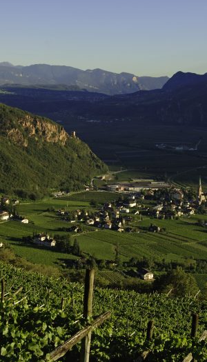 Cooperative, Terlano e Cavit al top nel mondo, secondo il contest 2026 di &ldquo;Weinwirtschaft&rdquo;