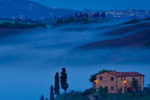 I Quaderni di WineNews - Il Verdicchio delle Marche