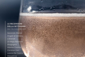 I Vini di WineNews - N. 105