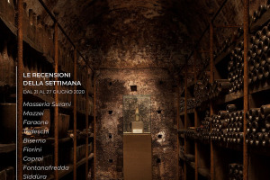 I Vini di WineNews - N. 107