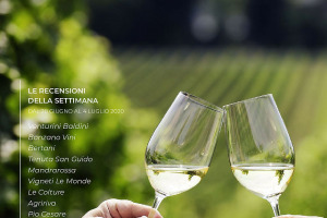 I Vini di WineNews - N. 108