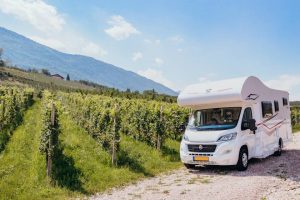 Dormire, in camper, tra i vigneti: nasce il progetto delle Donne del Vino col Touring Club Italiano Dormire, in camper, tra i vigneti: nasce il progetto delle Donne del Vino col Touring Club Italiano