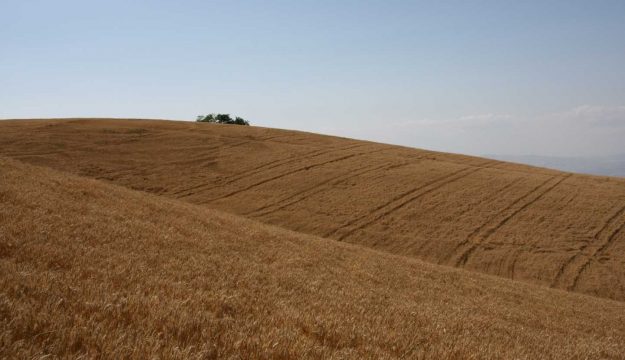 Frode sui fondi Pac in Sicilia, con un danno stimato di oltre 1,4 milioni di euro