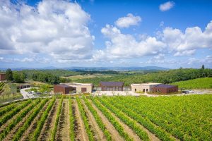 Investimenti: Vallepicciola inaugura la nuova cantina da 20 milioni di euro. Focus accoglienza