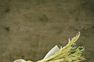 OrtoBra Gourmet, Cardo Gobbo