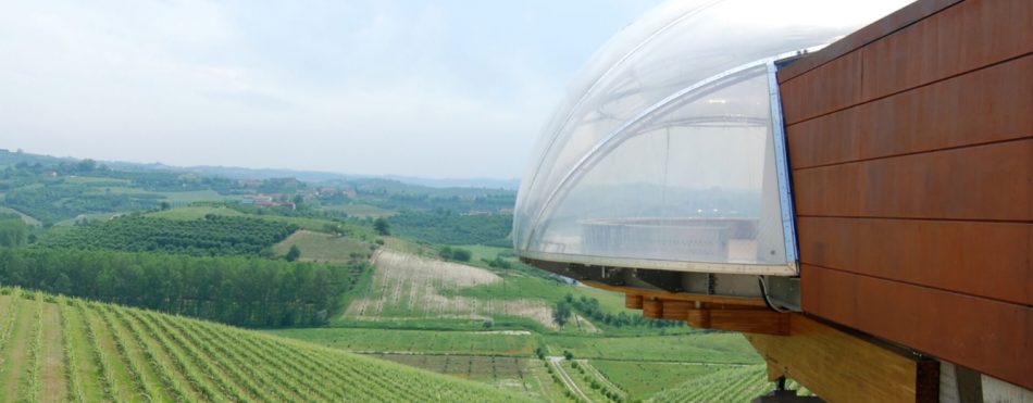 L’Acino sulle vigne della Cantina Ceretto nelle Langhe