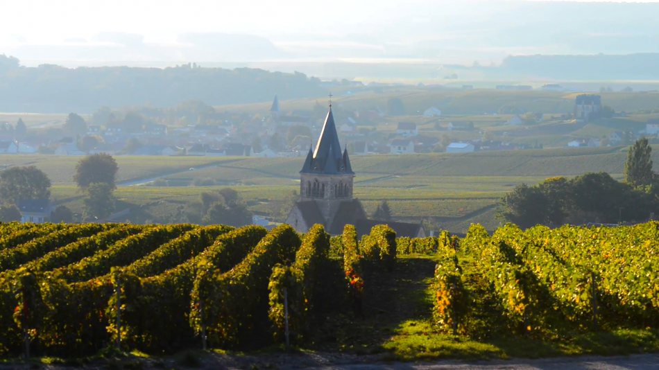 Reims, una delle capitali della Champagne