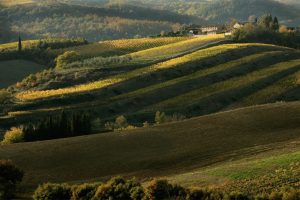 Territori e agricoltura, sono 46 i comuni “Spighe Verdi” d’Italia by Fee e Confagricoltura