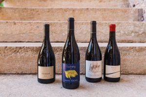 Concorso Nazionale del Pinot Nero, il migliore d’Italia è il Ludwig di Elena Walch (90,3 punti) Concorso Nazionale del Pinot Nero, il migliore d’Italia è il Ludwig di Elena Walch (90,3 punti)