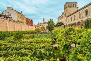 Monasteri, abbazie, eremi e conventi: dove il vino è una questione di vita, spirituale e quotidiana