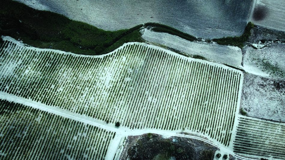 “La Sicilia che non ti aspetti”, il nuovo sito Mandrarossa by Im*media 