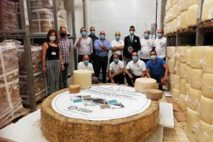 Il pecorino pi&ugrave; grande del mondo &egrave; sardo: pesa 600 chilogrammi per un diametro di 160 centimetri