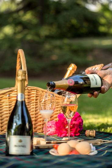 Il pic nic gourmet, trend dell’estate 2020, nel post-Coronavirus