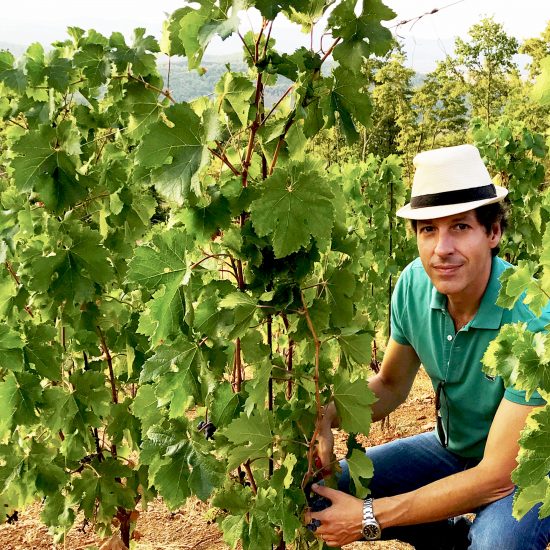 Pier Paolo Nenni in vigna