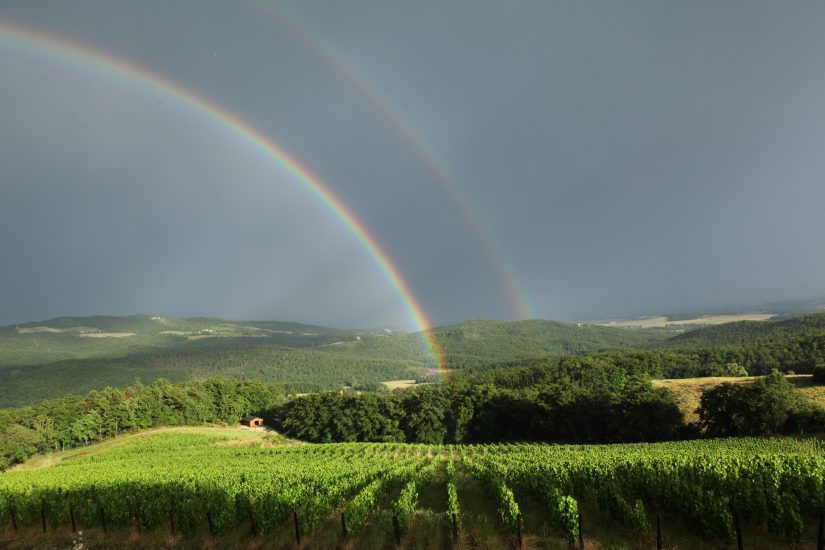 Oggi sono tutti bio i vigneti fondati da monaci Cistercensi e oggi di Nenni