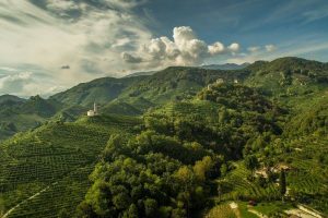 L’enoturista contemporaneo? In cerca di “atmosfera” e contatto con le comunità, lontano dalle masse