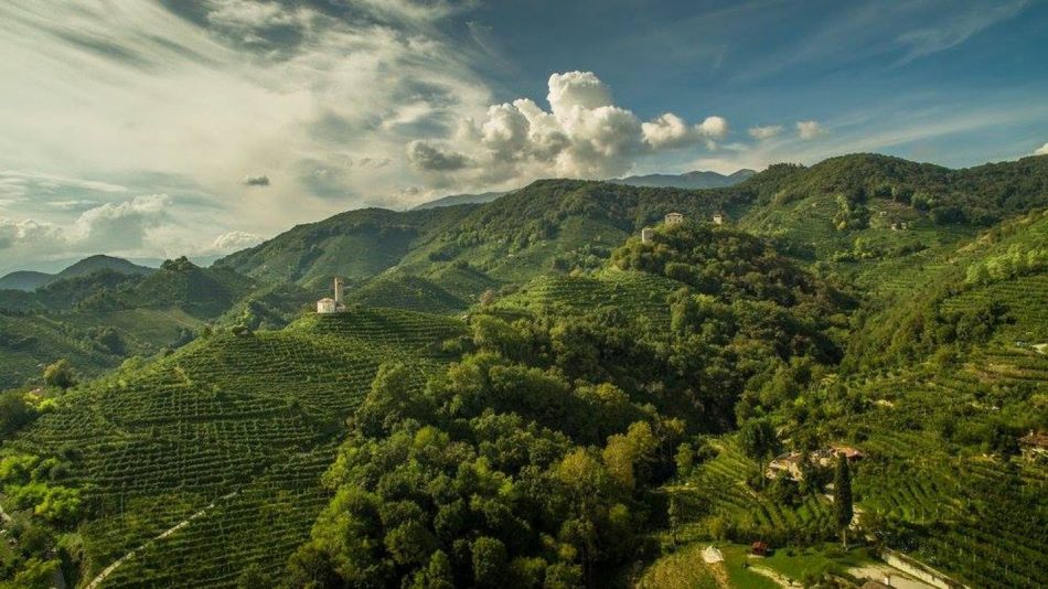 Colline candidate Unesco del Consorzio Prosecco Docg, Premio Gavi