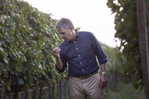 “Grande attenzione, ma niente panico. Non credo a rivoluzioni nel vino”. Parla Renzo Cotarella