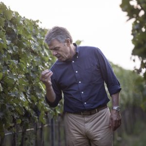 A Renzo Cotarella il &ldquo;Winemakers&rsquo; Winemaker Award&rdquo; 2026 dell&rsquo;Institute of Masters of Wine