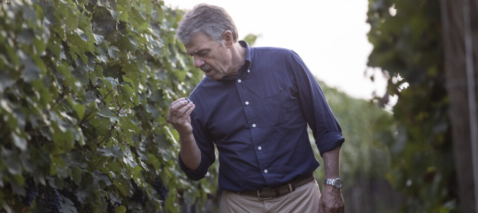 A Renzo Cotarella il &ldquo;Winemakers&rsquo; Winemaker Award&rdquo; 2026 dell&rsquo;Institute of Masters of Wine