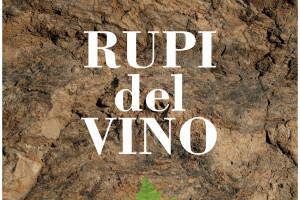 Ciak si gira, nei territori del vino. E nelle vacanze in Italia, l’enoturismo sposa il cineturismo