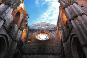 Un passato antico e lo sguardo al domani: rivivono i vigneti della millenaria Abbazia di San Galgano