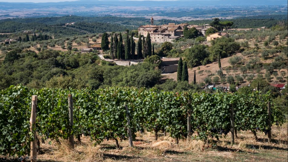 La Tenuta di Arceno nel Chianti Classico, del gruppo americano Jackson Family