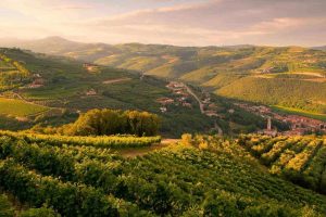 Dalla crisi alla riscossa del vino: il messaggio di “The Italian Way” by Unicredit e Federvini