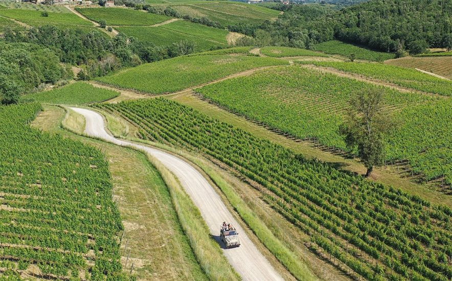 I vigneti di Vallepicciola nel Chianti Classico