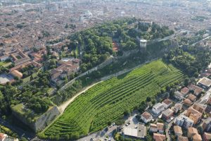 Il vigneto Pvsterla, quattro ettari alle pendici del Castello di Brescia, gioiello di Monte Rossa Il vigneto Pvsterla, quattro ettari alle pendici del Castello di Brescia, gioiello di Monte Rossa